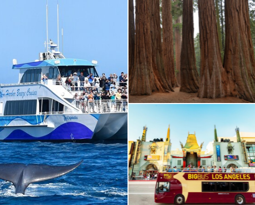 LA Favorites: Where to Eat, Shop & Explore 📍 cover photo collage