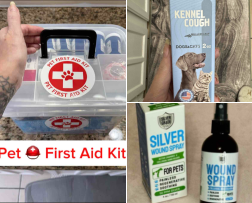 🐶🐱⛑️🩹Items to keep for your dog/cat’s medicine cabinet, & pet’s first aid kit. cover photo collage