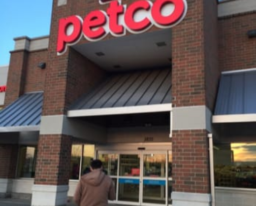 Pet co cover photo collage
