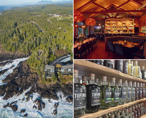 West Coast Vibes cover photo collage