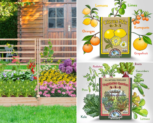 🌱 Green Thumb Recommendations 🌱 cover photo collage