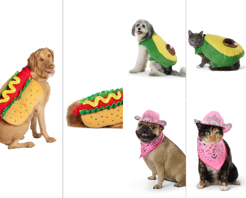 HOT DOG HALLOWEEN WISHLIST cover photo collage