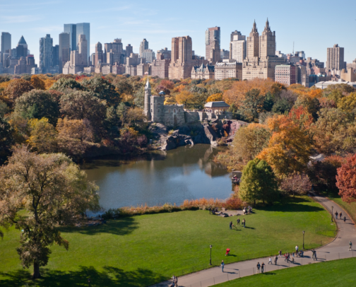 NYC Must Do's cover photo collage
