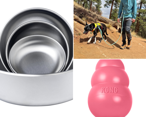 Pet Care Basics cover photo collage