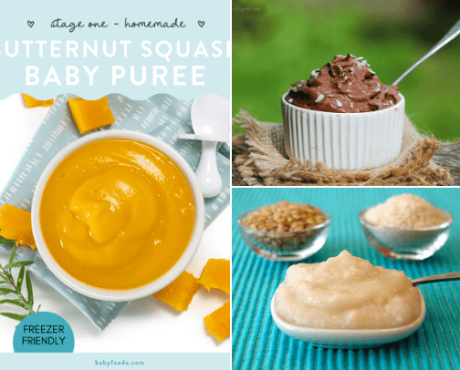 Nutritious Homemade Baby Food Recipes cover photo collage