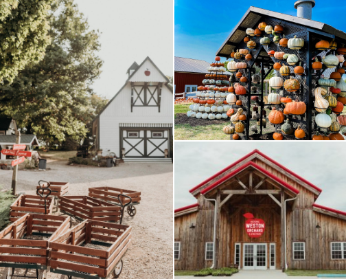 Kansas City Fall 2025 Roundup cover photo collage