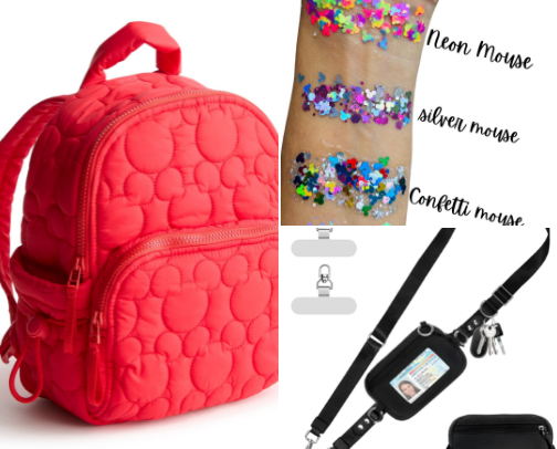 Disney World Survival and Fun! cover photo collage