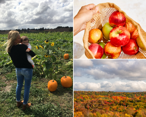 🍂 Fall 2026 Bucket List cover photo collage
