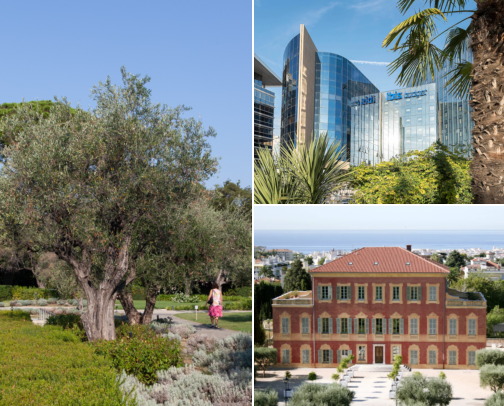 Hotels that could make the trip even nicer, Art, Easy Walks, Sea Views & Lovely Places to Stay Nice, France cover photo collage