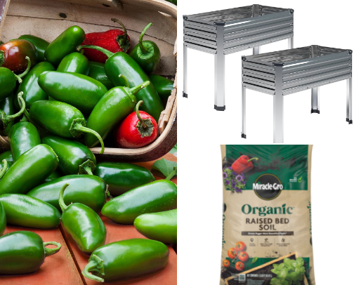 Backyard gardener cover photo collage