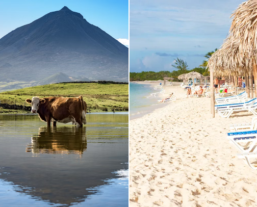 Vacation cover photo collage