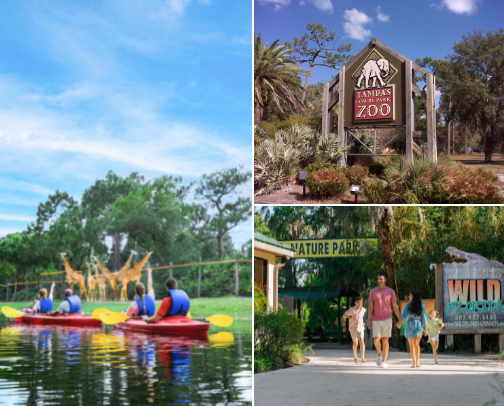 My favorite things to do in and around Brevard County Florida cover photo collage