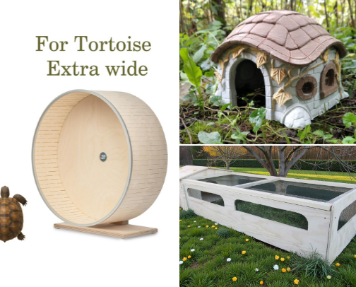 Tortoise must haves 🐢 cover photo collage
