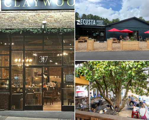 My top Hendersonville recs cover photo collage