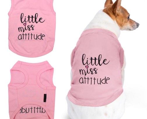 Dog Wellness & Grooming Essentials cover photo collage