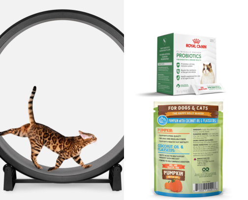 🐈✨😽 Vegan/Plant Based Cat Lovers cover photo collage