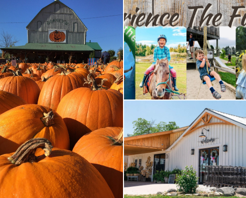 Pumpkin Patches Ontario cover photo collage