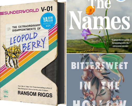 Book Recs cover photo collage