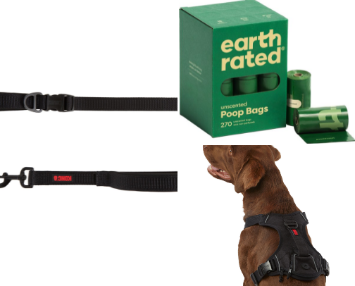 Dog walk necessities cover photo collage