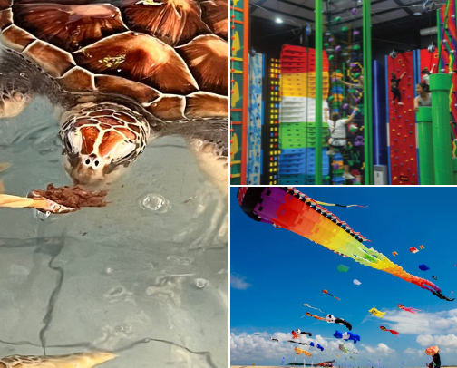 Sanur - Bali - Indonesia fun activities cover photo collage