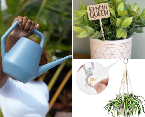 Crazy Plant Lady Items cover photo collage