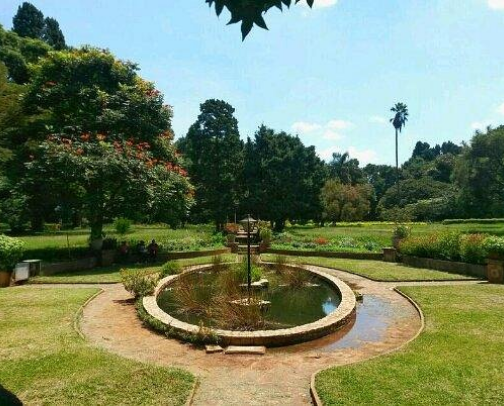 My top Harare recs cover photo collage