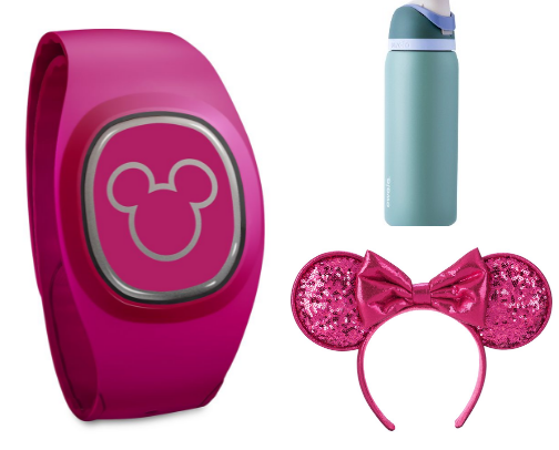 Fun Items for Your Disney Trip cover photo collage