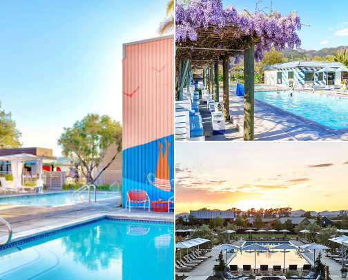 Non Wine Recs for Napa Valley cover photo collage