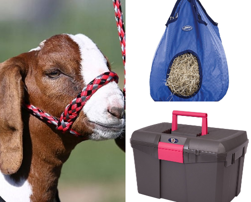 sheep items cover photo collage