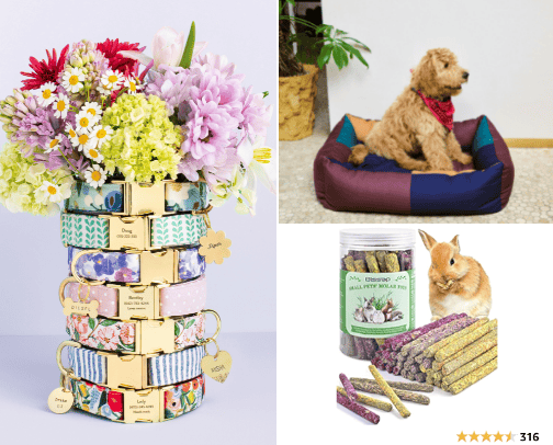 Your Ultimate Guide to Animal Companionship cover photo collage