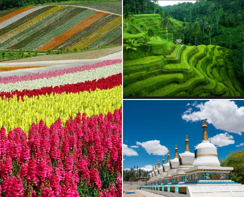 Best Places to Visit in Asia in Summer cover photo collage