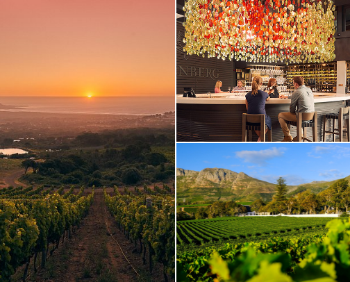 Wineries cover photo collage