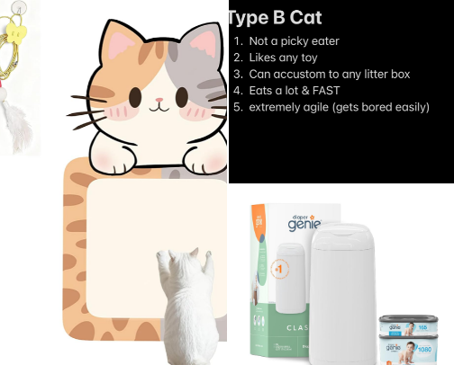 Things I buy for my “Type B” cat cover photo collage