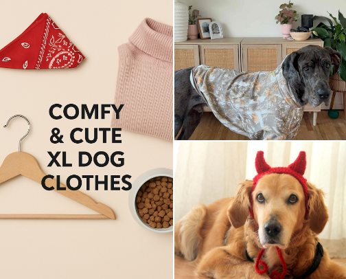 Comfy & Cute XL Dog Clothes cover photo collage