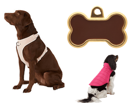 must have shih tzu accessories 🐶 cover photo collage