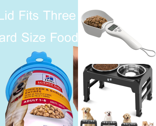 The Little Details That Help With Everyday Pet Care cover photo collage