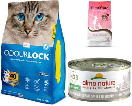 Cat Essentials for the everyday cover photo collage