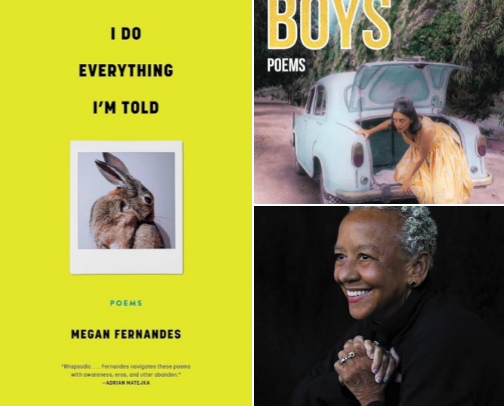 Digestible Poetry Books that anyone can enjoy cover photo collage