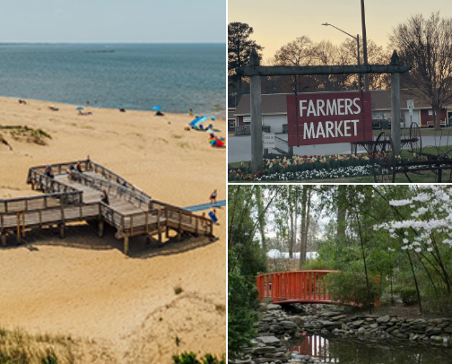 What to do in VB cover photo collage