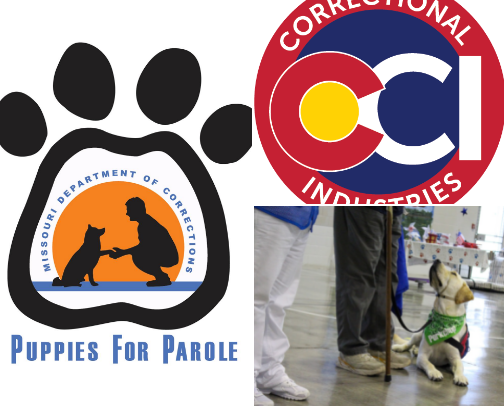 Prison Dog Training Programs and Adoptions cover photo collage