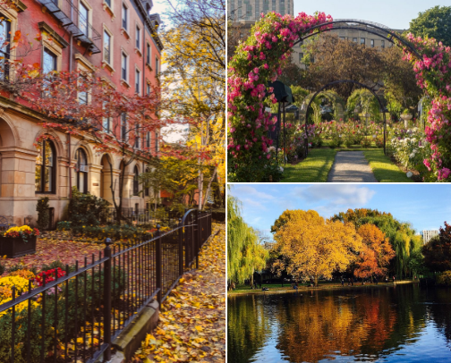 Best Places in & Around Boston to See Fall Foliage cover photo collage