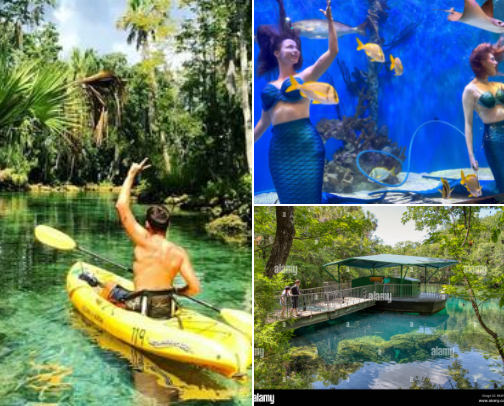 Fun Around Town ☀️ cover photo collage