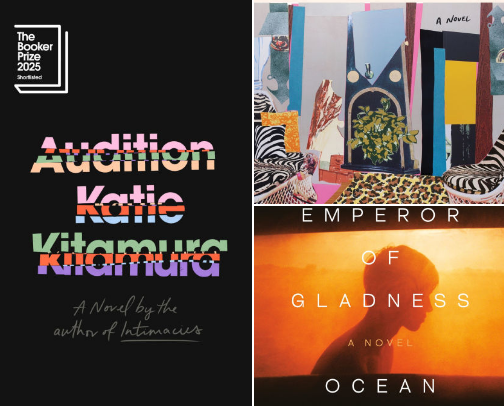 Top Novels Published in 2025 cover photo collage