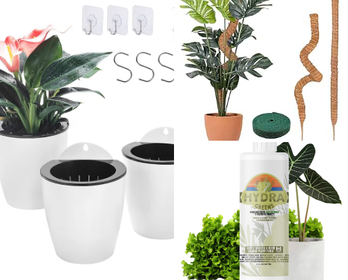 🪴 Indoor Forest 🪴 cover photo collage