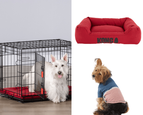 useful things for dogs cover photo collage