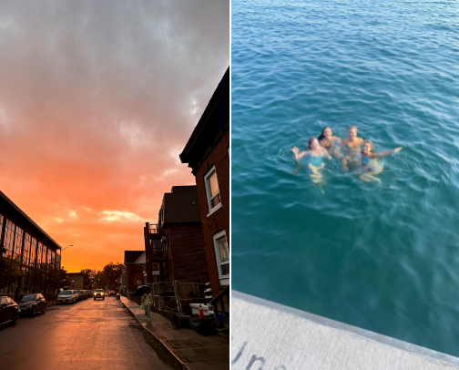 Profession: Student cover photo collage