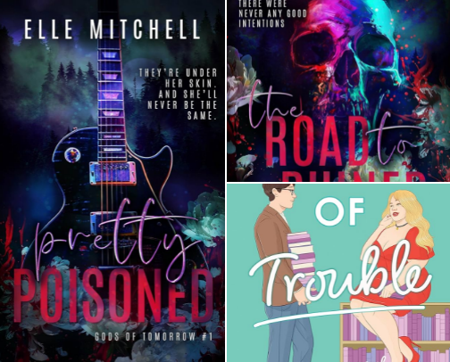 5 Star Reads of 2024 cover photo collage