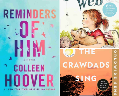 20 Best and Most Popular Novel Recommendations cover photo collage