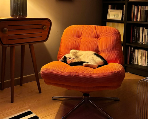 Mid-Century Modern IKEA finds I’m obsessed with cover photo collage