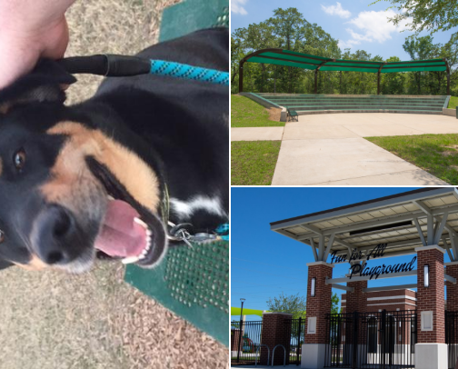 Things To Do in College Station cover photo collage